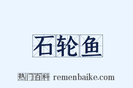 石轮鱼是什么意思的图片